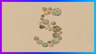 Claude Opus 5 in 8 Minutes: What Developers Need to Know